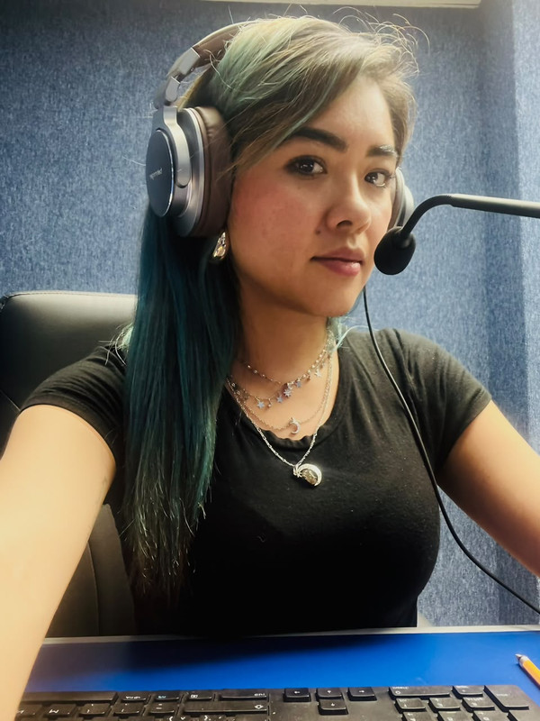 Trabajo profesional con instituciones y organizaciones — imagen 18