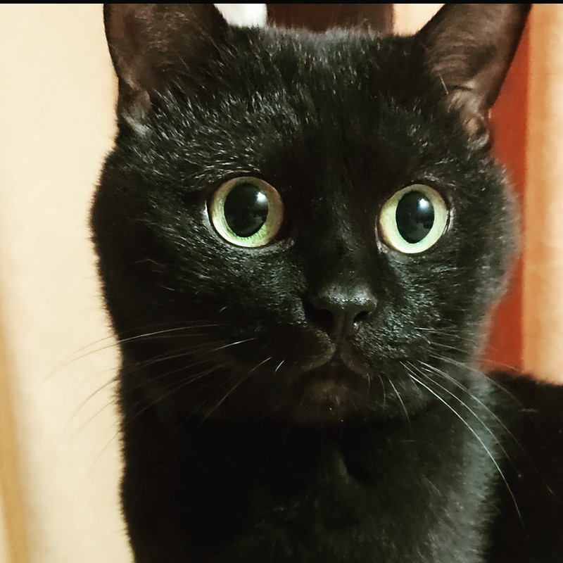 IMG_20191201_185012_392