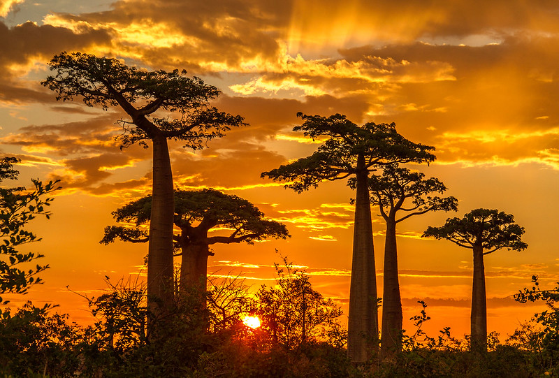 orange-sunset-southafrica.jpg
