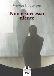 Stefano Iannaccone - Non è successo niente (2024)