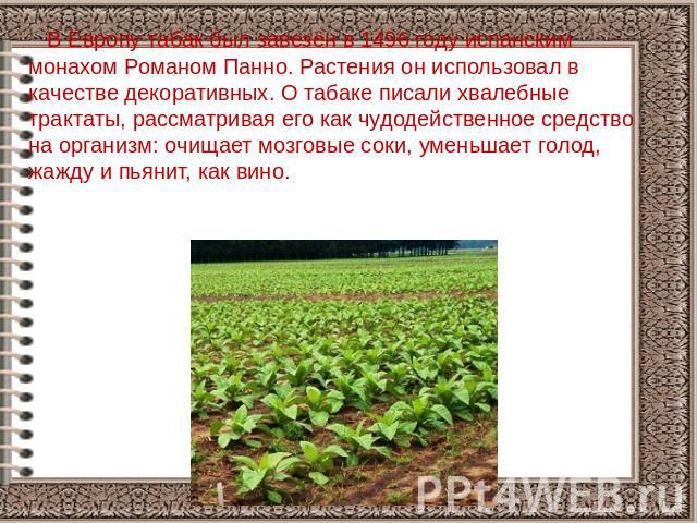 Основные этапы цветения табака и их влияние на качество урожая