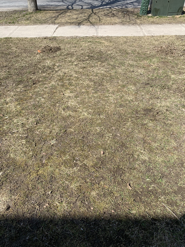 31D1B96A-935E-4DC1-9226-1939565E76B8