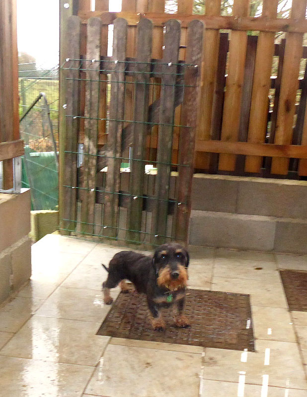 [Image: P1040114.jpg]