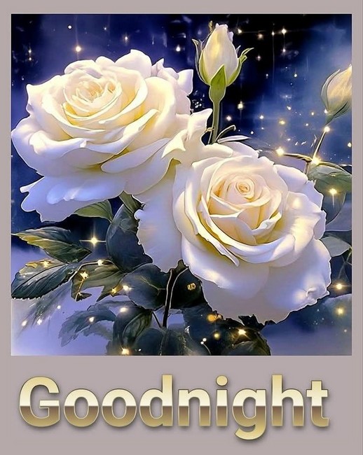 night