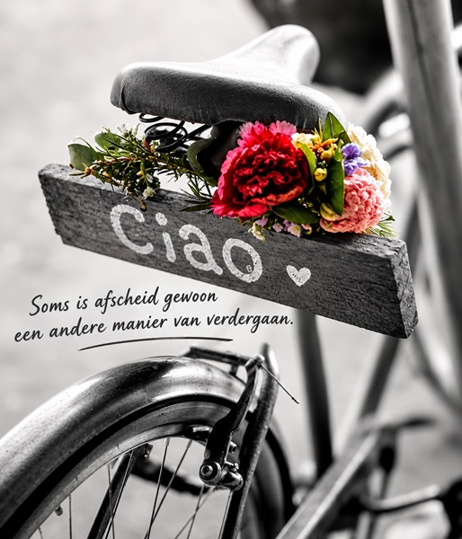2026-9-8-dinsdag