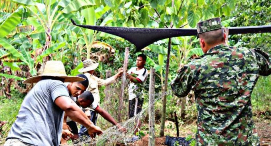 La paz gracias a la Moringa: construcción de un vivero para la producción de 600 plántulas de moringa.