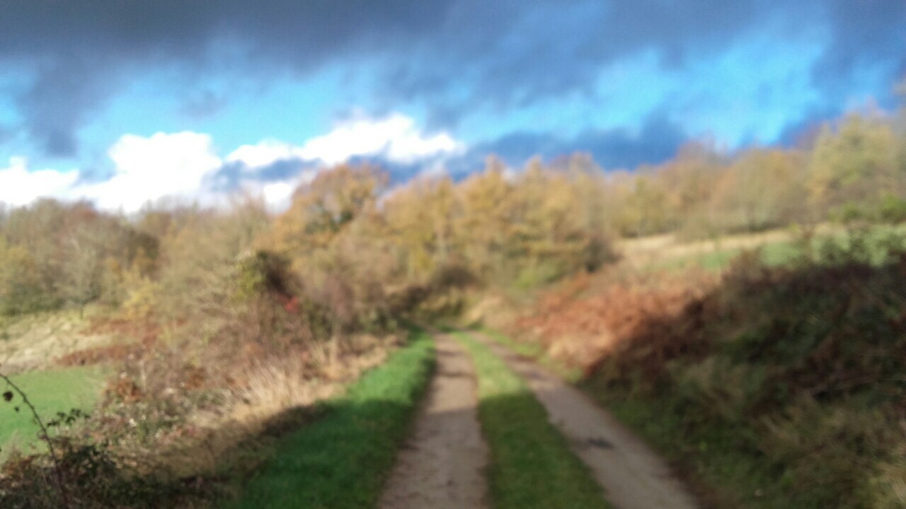 EA5EB0BD-1066-47C3-8801-5EC2B157573B