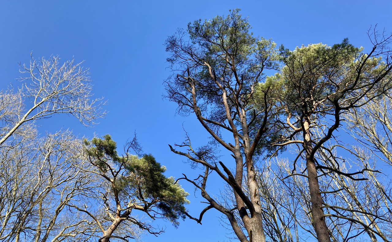 DA469165-5400-47DD-A16A-D467AE83A749