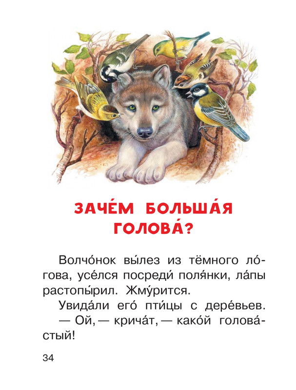 Shim-Eduard-Skazki-o-zhivotnyh-2020-page-0035