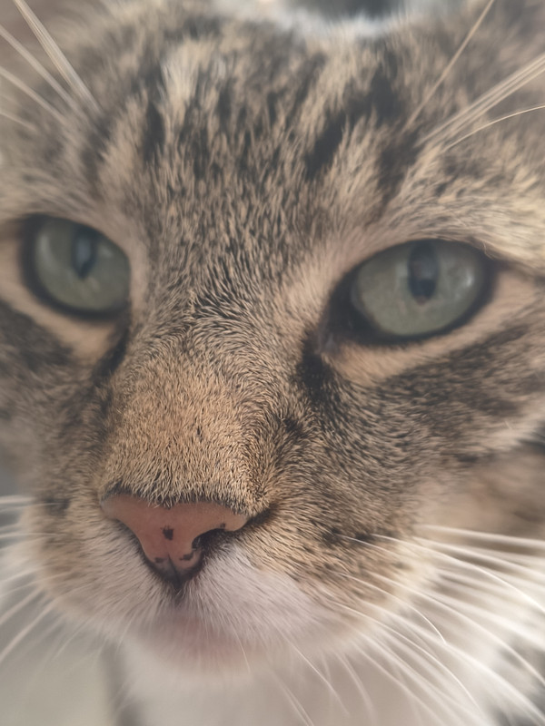 IMG 20260727 182818941 HDR