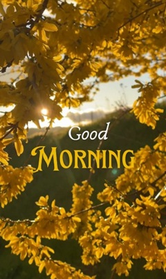 vartotojo kelta nuotrauka