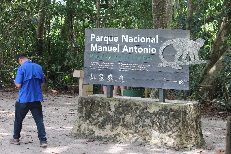 DE TORTUGAS Y PEREZOSOS. COSTA RICA 2019 - Blogs de Costa Rica - DIA 14: PARQUE DE MANUEL ANTONIO (18)