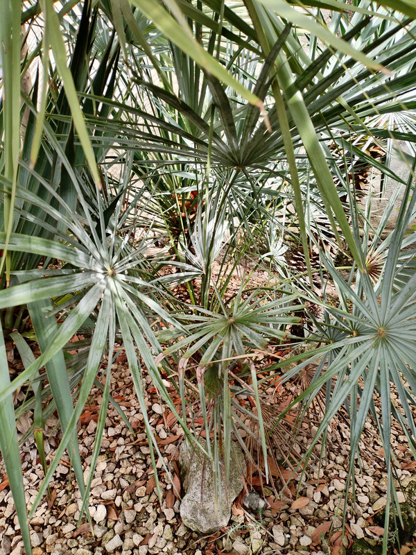 IMG 20260215 131248 edit 1049207983024757