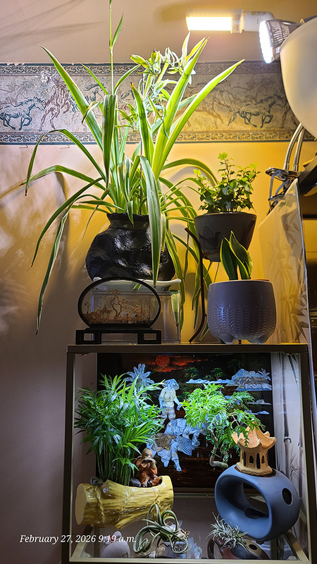 [Image: 20260227-091954.jpg]