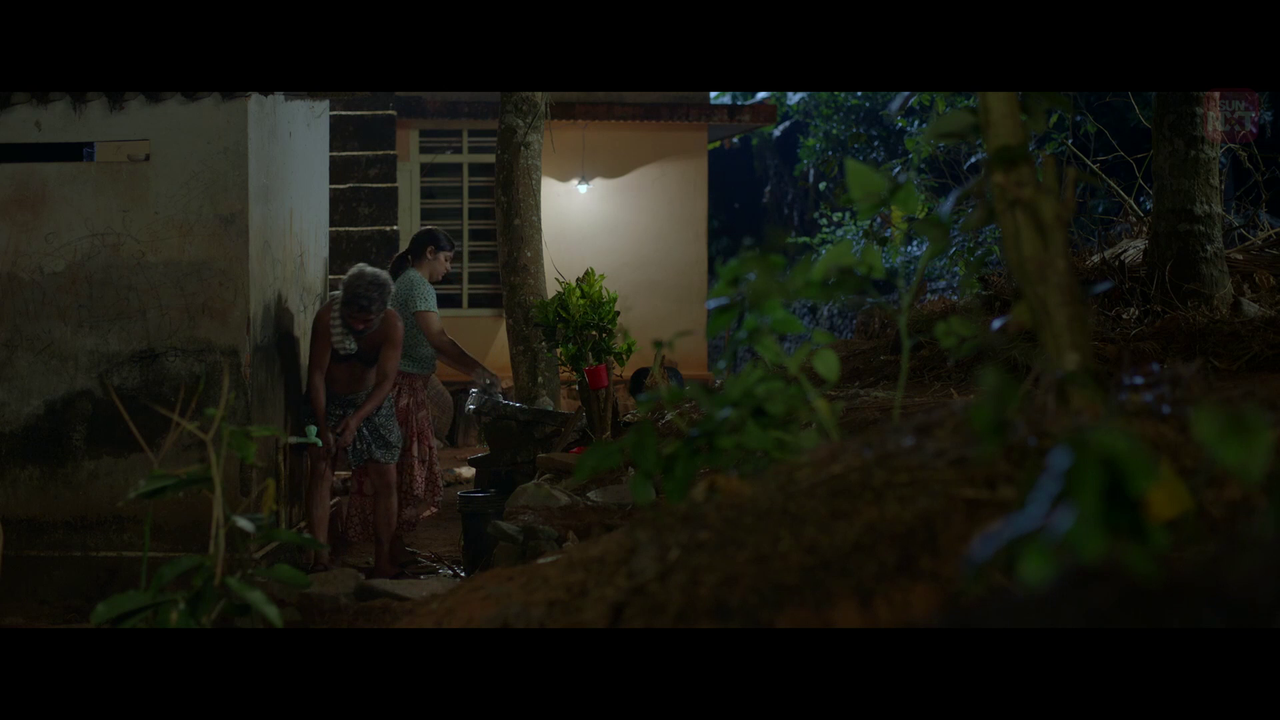 vlcsnap 2026 02 11 15h59m18s286