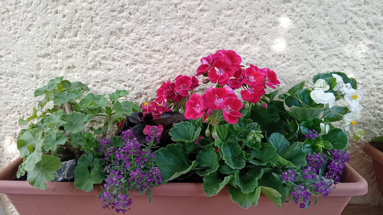 440744184_10228550608927608_8258390996461307185_n