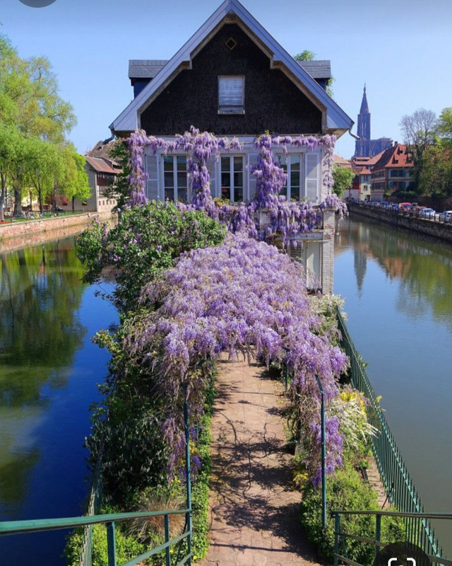 Screenshot_20230904_234516_Pinterest