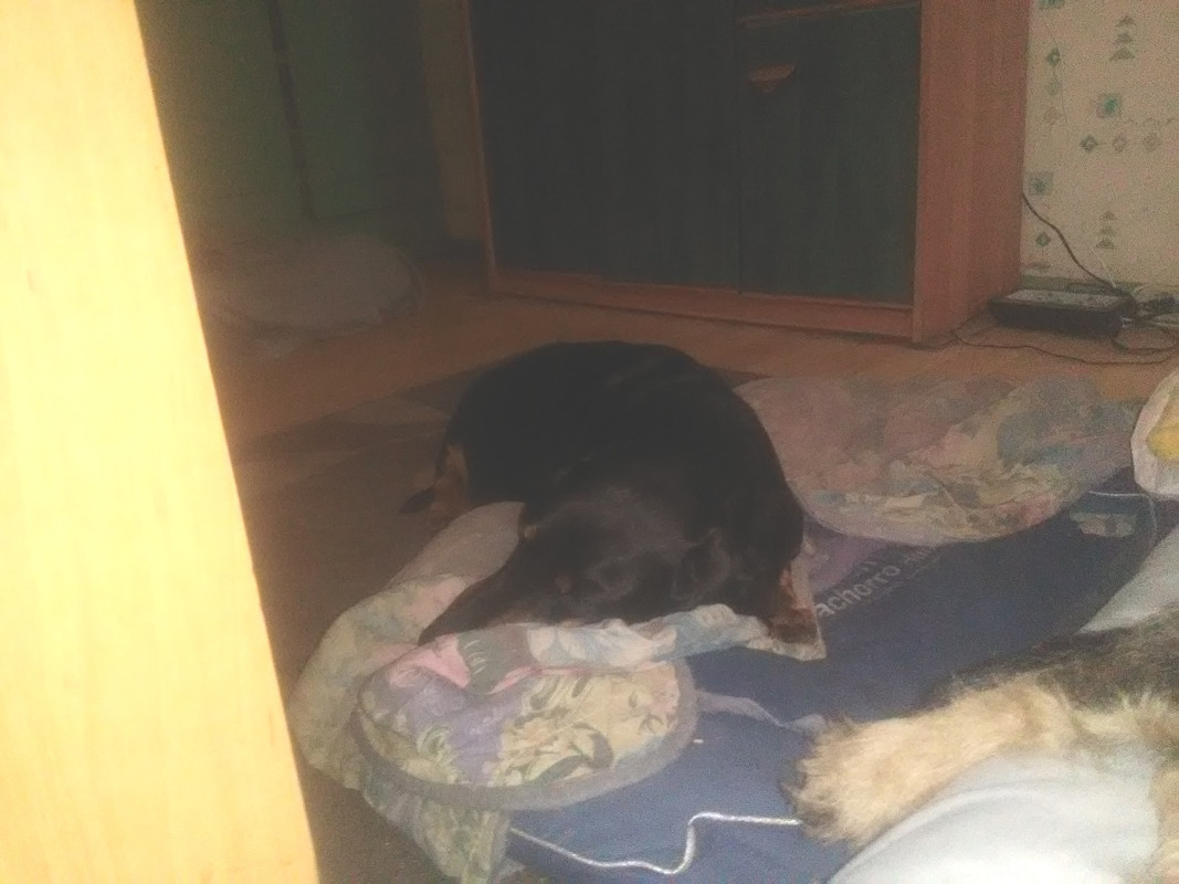 [Image: Tommylit.jpg]