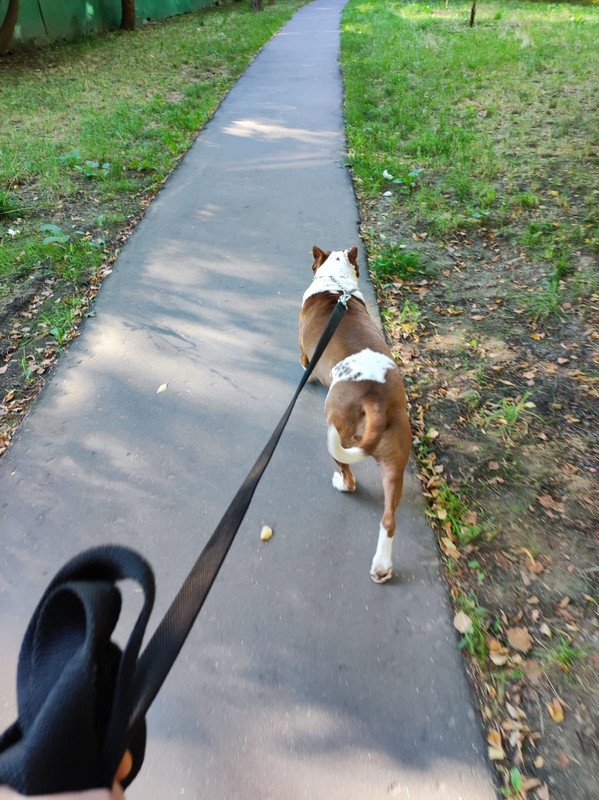 2DE7AFB0-DC47-4926-A7DF-C51DE567312C