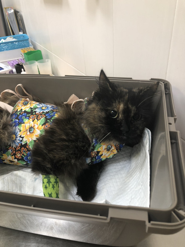 24C12DB6-B1E9-405E-A1EA-15B7C392DDA4