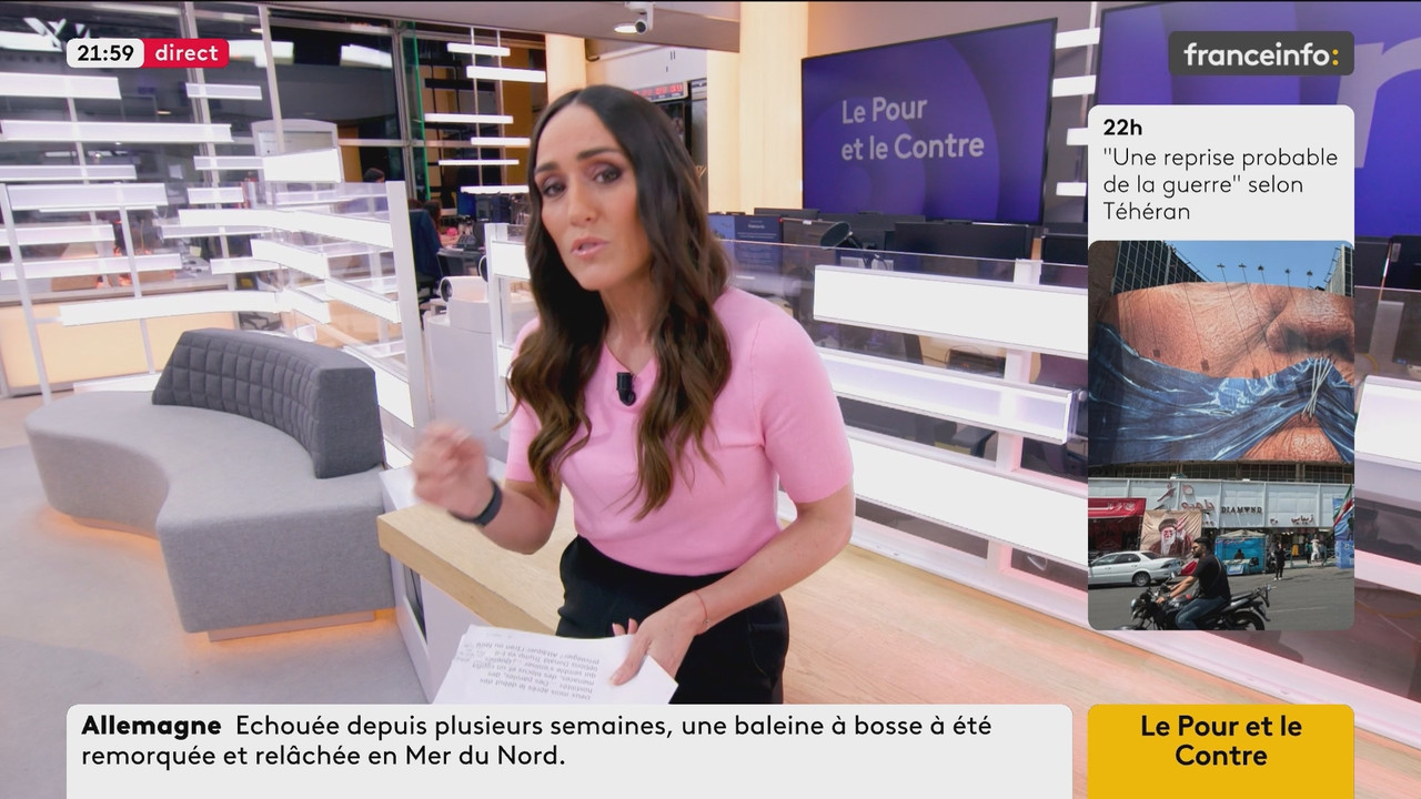 Le Pour et le Contre (Franceinfo) 2026 05 02 20 54 55 ts snapshot 00 06 30 937