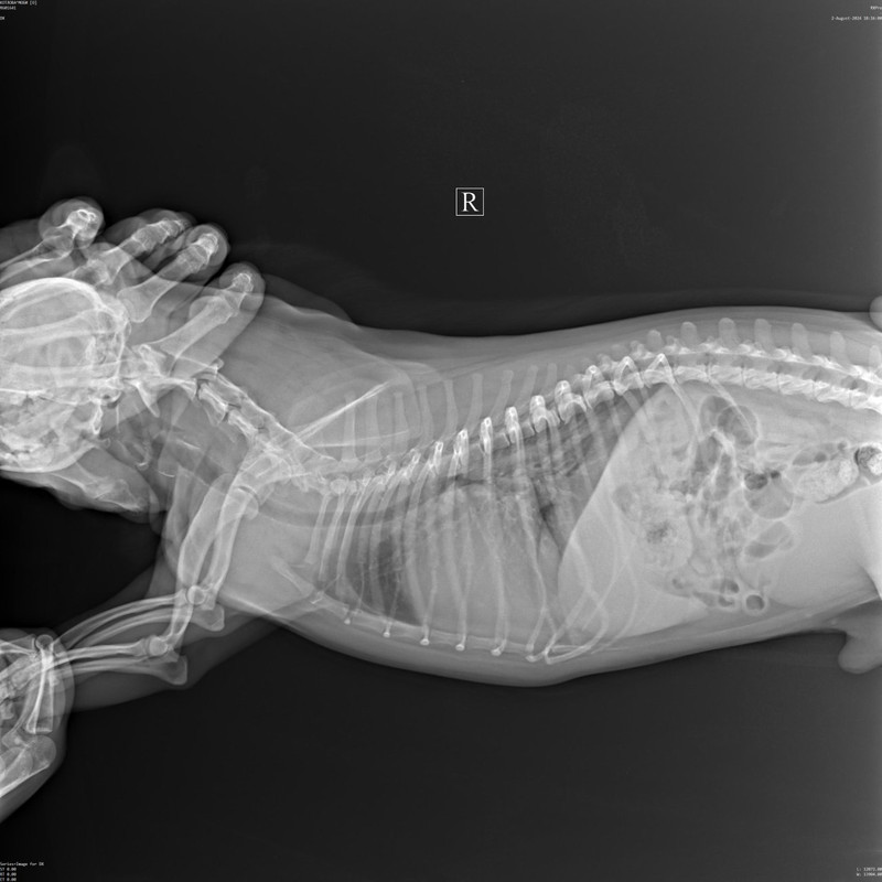 -5267276230741322575_121