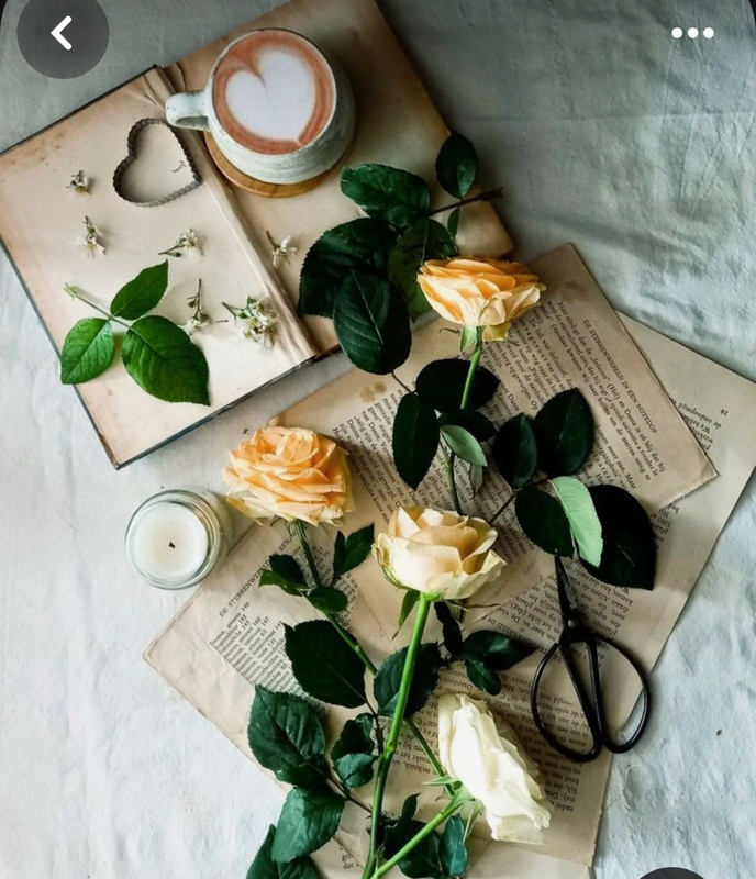 Screenshot_20230909_005322_Pinterest