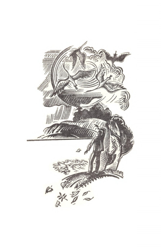 _Решетов А.Л. Рябиновый сад. Стихи. М.,1975_page-0013