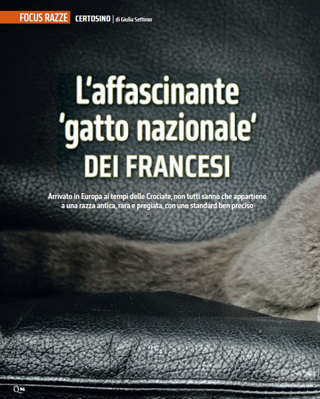 QuattroZampe Giu 2024 (7)