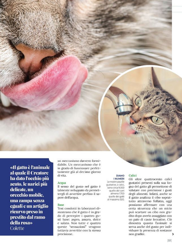 Ga Ma Giu-Lug 2023 (12)