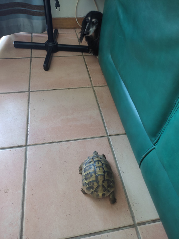 [Image: IMG-20230903-121803.jpg]