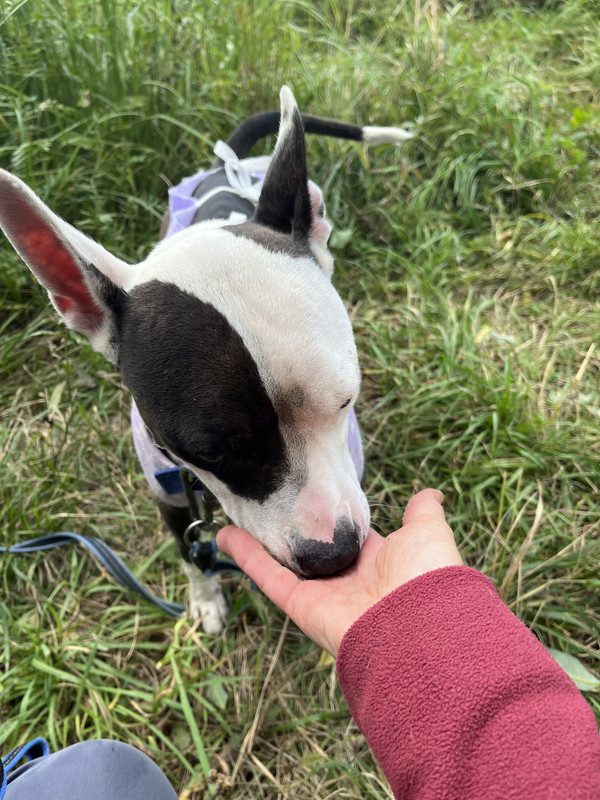 BF30A9AE-9534-4A1D-B40B-A7B39CCB14A7