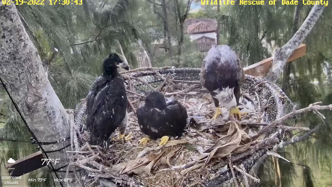 4C574599-9145-4B5E-BE82-EF604D328933