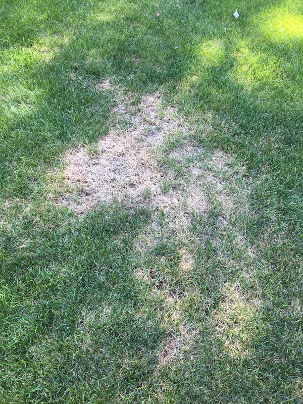 4035ABA5-8A21-42E8-836D-9A472366ED39