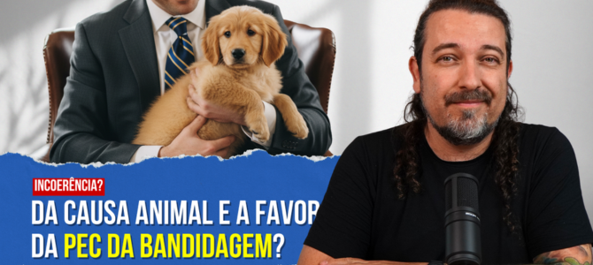 Saiba quem são os deputados da causa animal que votaram a favor da PEC da Blindagem
