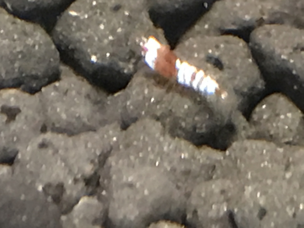 CA3D3A47-FB3F-48F7-9623-B0EC3DAFDCD9