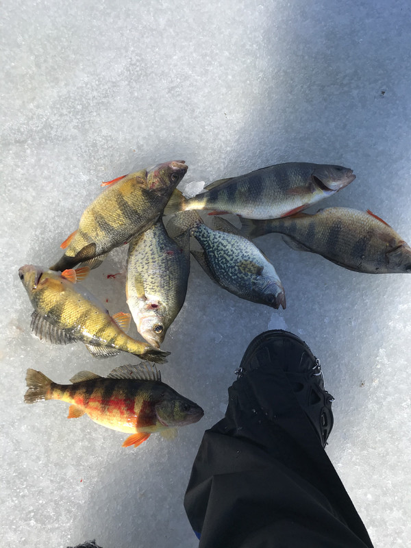 EC10B521-7A8E-4C10-8353-A9ED06D1100D