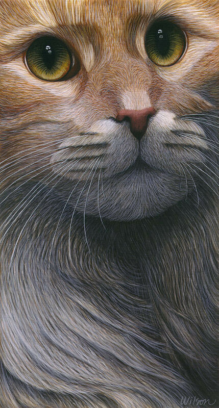 05-cropped-cat-4-carol-wilson