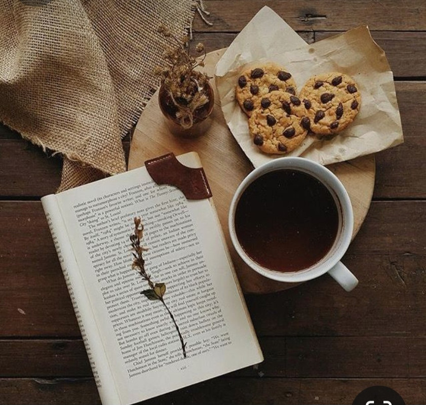 Screenshot_20240508_221733_Pinterest