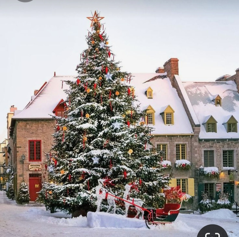 Screenshot_20231005_235202_Pinterest