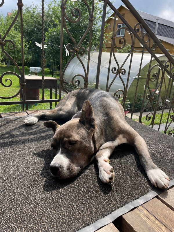 52C5843C-E026-4A88-B688-6060B1C82648