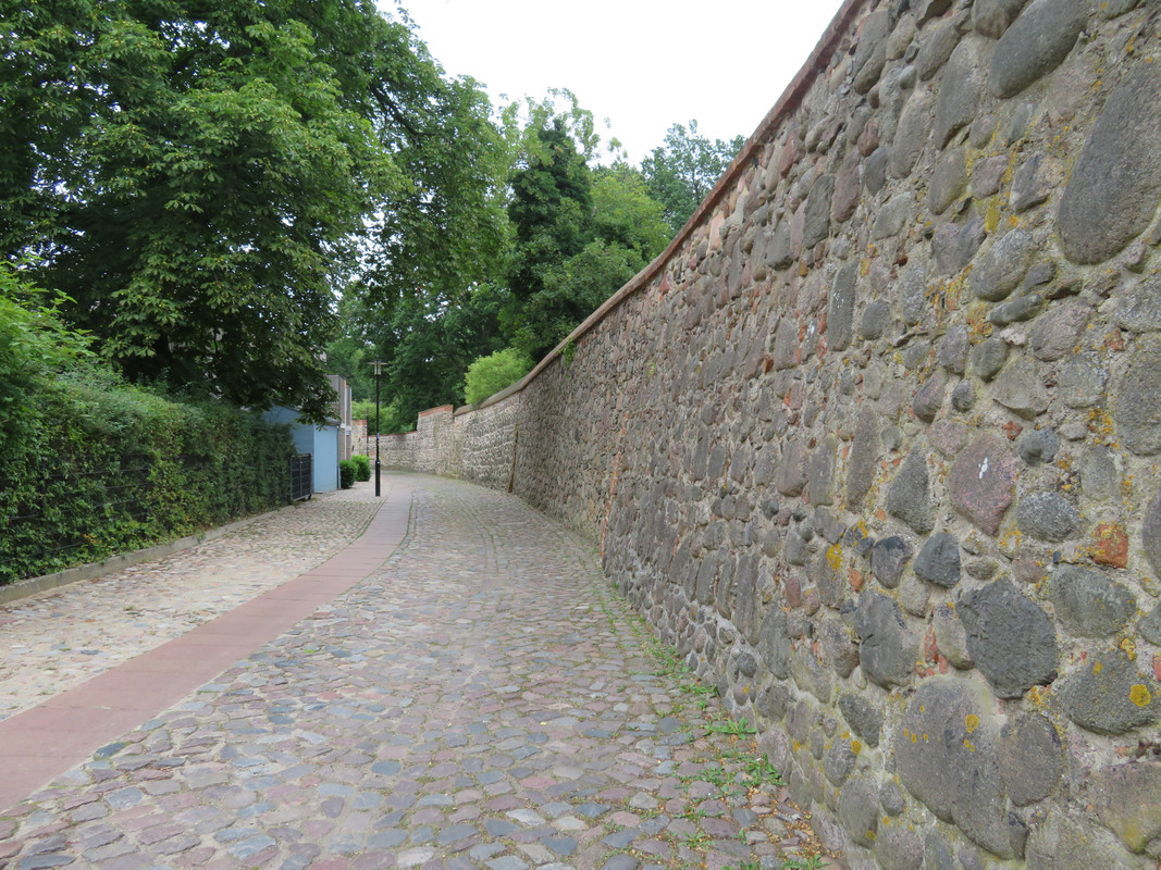 IMG-0788.jpg