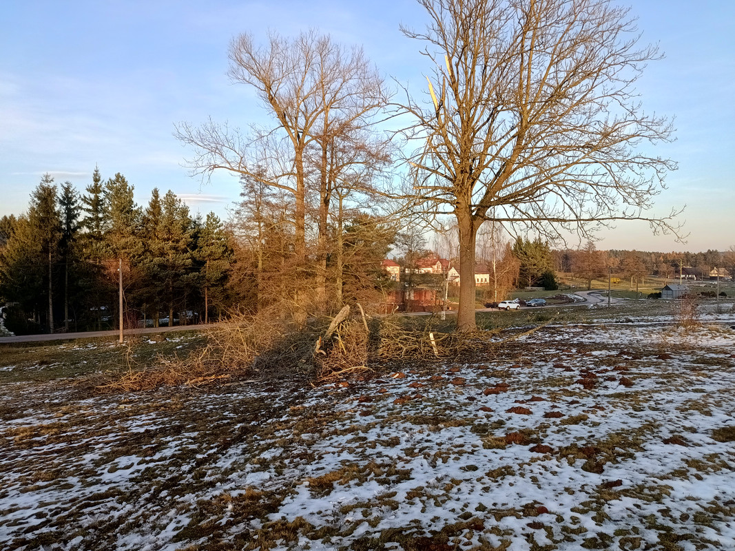 IMG_20241125_150752097_HDR