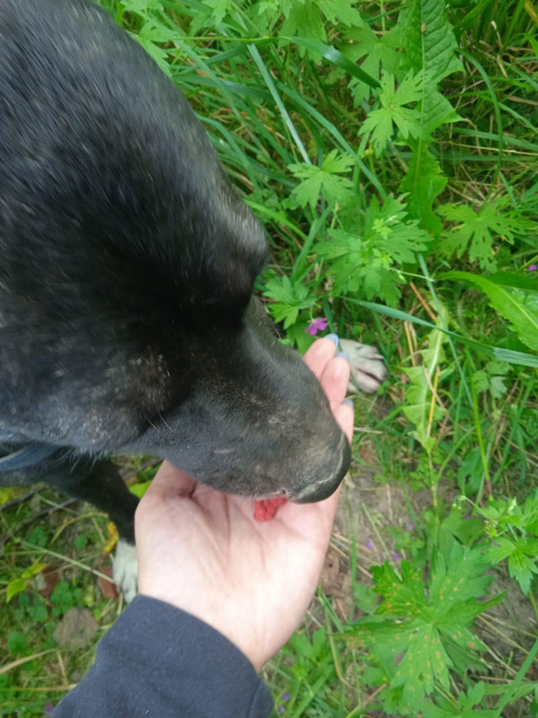 2E581CBE-6448-41CA-ACB9-0DF83D4455FC