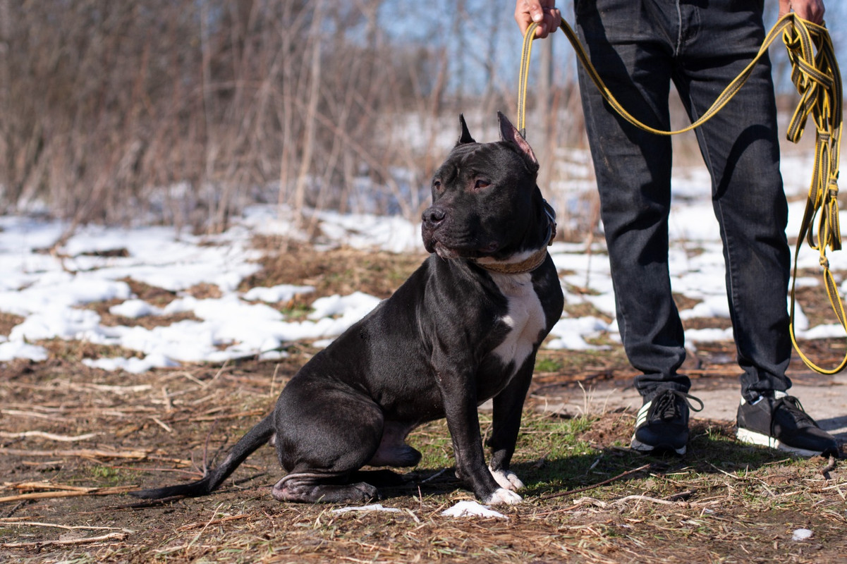 WhatsApp Image 2025-04-20 at 17.03.37 (1)