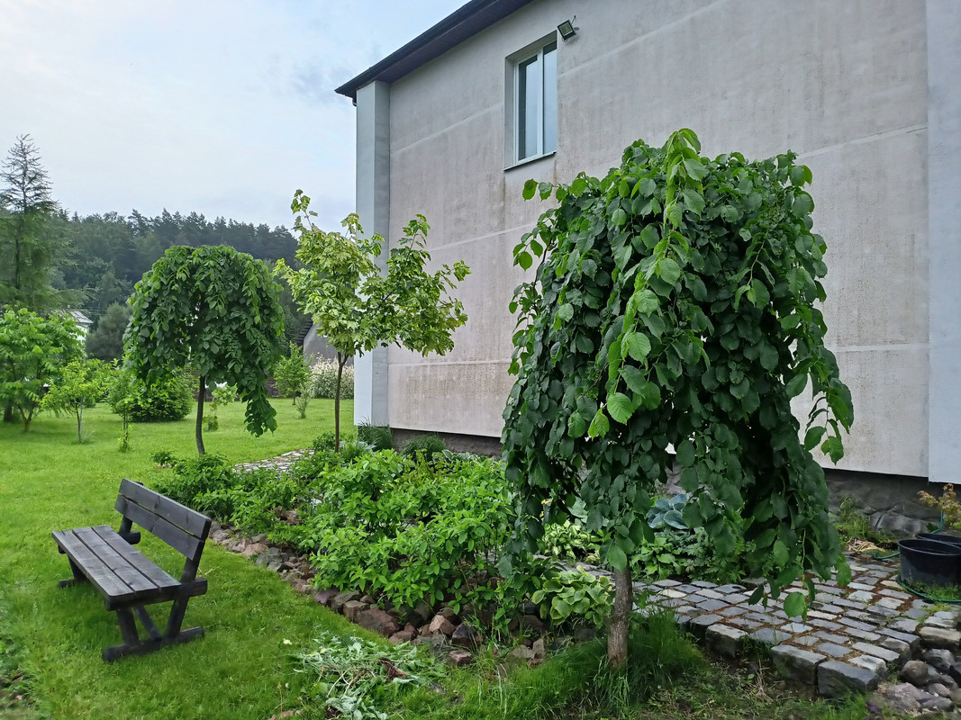 IMG-7c7ba4befef70643927c5cbc9cc820ea-V
