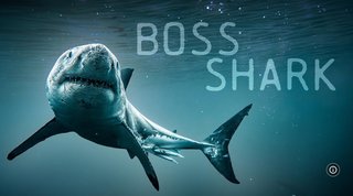 Boss-Shark-2024-1080p-NOW-WEB-DL-DDP5-1-H264-2x-HUN-AWS.jpg