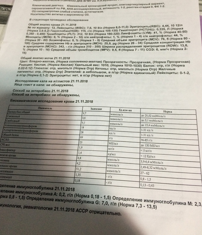 11EA070E-3325-4369-8B27-3C2F1A5129A1