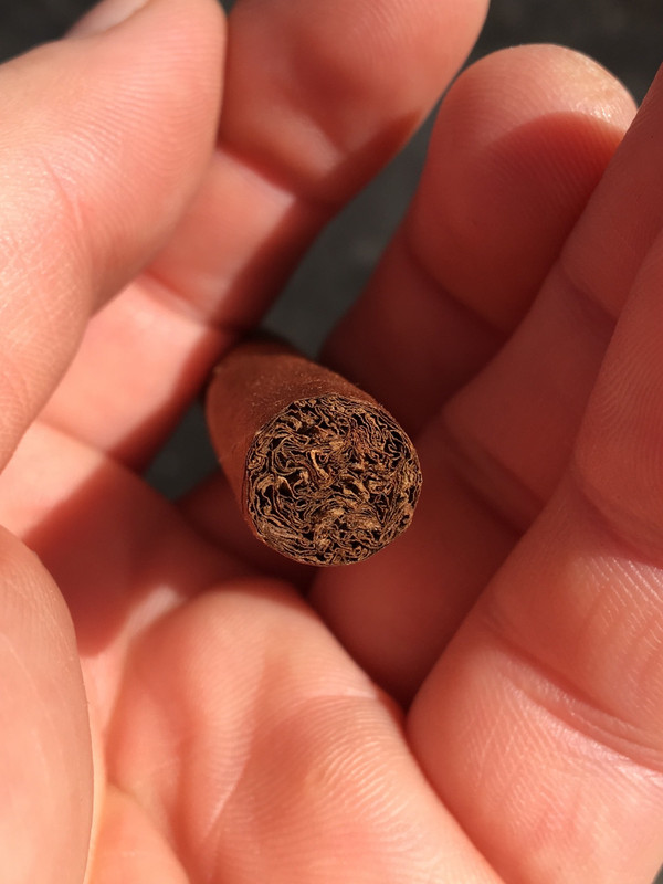 666AB5E0-1A25-42A9-B6B3-382E9328CCCD