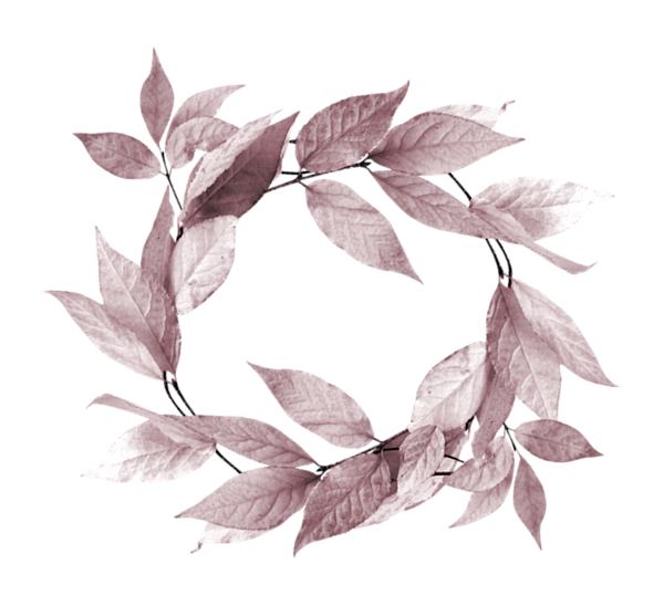 TADD_elements_PrincessParisian (71)